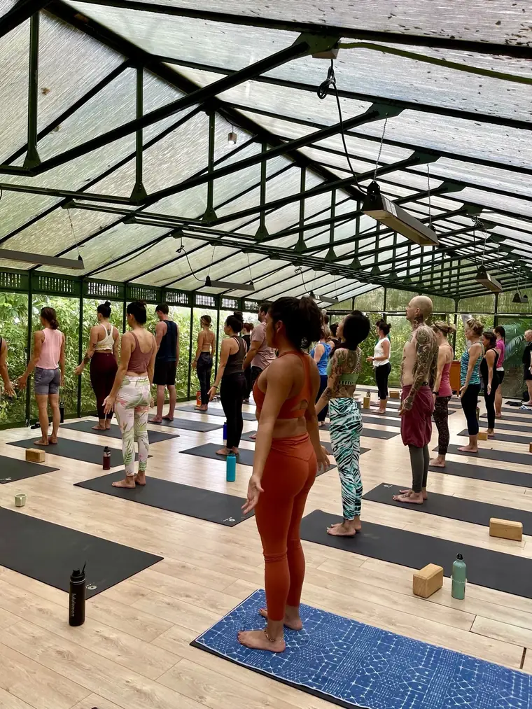 A packed yoga shala overlooking the jungle